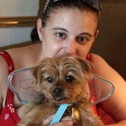 Furry Angels Dog Walking and Pet Sitting Service