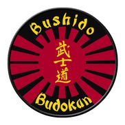 Bushido Budokan Academy of Self Defense