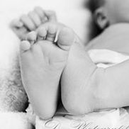 D. Manzanares Photography, Broomfield CO