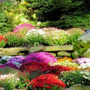 JMK and Sons Services LLC