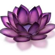 The Lotus House, LLC