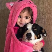 Gimme Love Animal Shelter