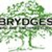 هندسة المناظر الطبيعية Brydges