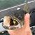 Northwest Metro Tackle, Corcoran MN