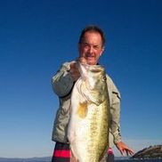Bassin With Bob