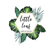 Little Leaf plant Boutique