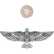 Montifalco Vineyard