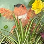 Pierre Studio Canada Art by Jane Dugan