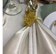 Premier Party Rental