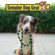 All Dogs Included