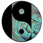 Nakoah Waters Art Studio