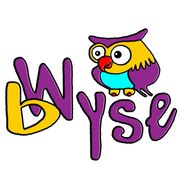 bWyse Internet Marketing & Social Media Consulting