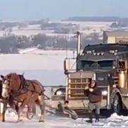 On The Move