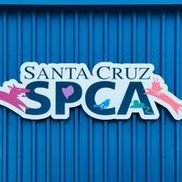 Santa Cruz SPCA
