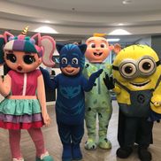 Family and Fun Entertainment LLC