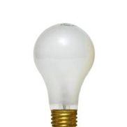 THE LIGHTBULB STORE