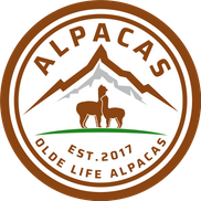 Olde Life Alpacas