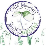 Little Mountain Microgreens