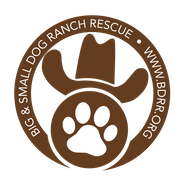 Big Dog Ranch Rescue - Loxahatchee, FL - Alignable