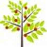 Halifax Naturopathic Health Centre