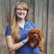 PHO PAWS Dog Training & Photography