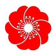 Seattle Cherry Blossom Festival