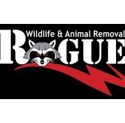 Rogue Wildlife & Animal Removal