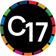 Catalyst 17