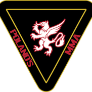 Poland's Mixed Martial Arts