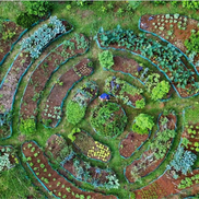 Food Forests for Life