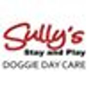 Sully's Stay and Play Doggie Day Care