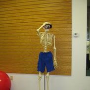 The Physical Therapy Connection