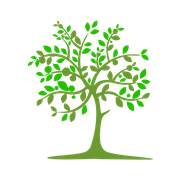 Elmtree ABA Services, LLC