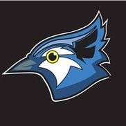 Blue Jay Paint and Blinds