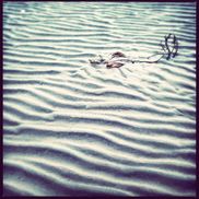 Julie d'Entremont Osteopathy