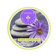 Connect2Holistics, LLC