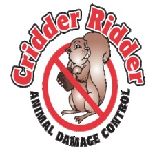 Cridder Ridder, Kansas City MO