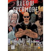 Below Sycamore LLC