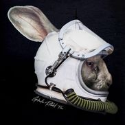 Galactic Rabbit Films