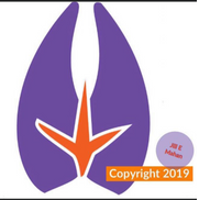 Animal Track Designs