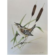 Meadowbrook Gallery