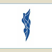 Johnson & Johnson Physical Therapy