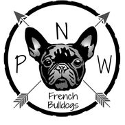PNW French Bulldogs