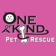 one of a kind pet rescue spay & neuter clinic