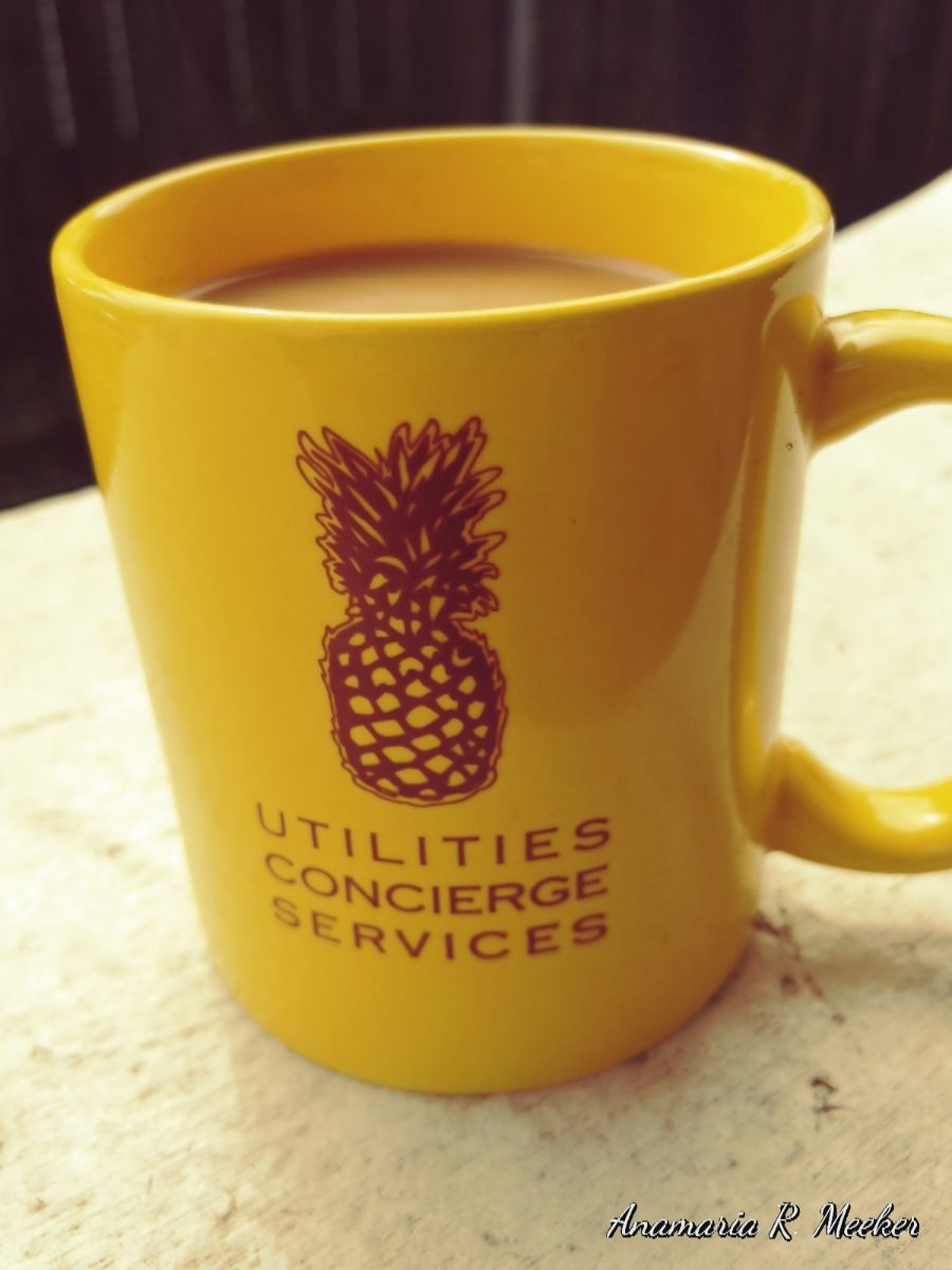 Utilities Concierge Services, Daphne AL