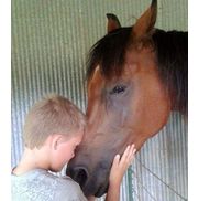 Horses as Partners