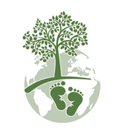 Barefoot Trees LLC