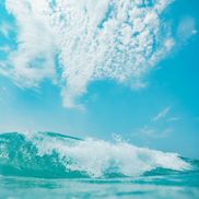 TC of Emerald Coast, LLC