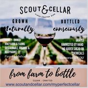 Scout and Cellar Clean Crafted Wine with Irene