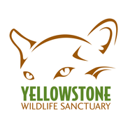 Yellowstone Wildlife Sanctuary